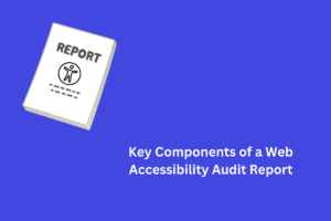 Key Components of a Web Accessibility Audit Report